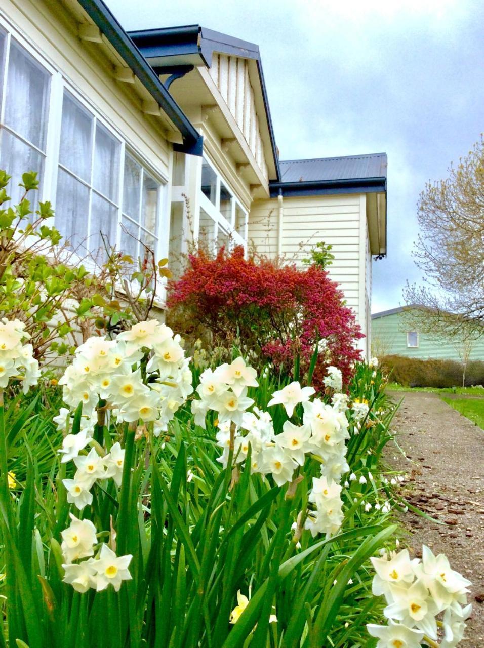 Acacia Bed And Breakfast Sheffield Extérieur photo